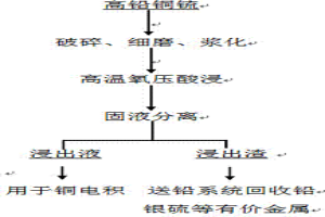 铅铜锍氧压酸浸过程中直接除铁的方法