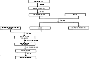 含镁矿石的浸出工艺