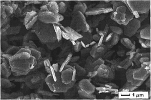 TixNb1-xSe2纳米材料的制备方法及其应用