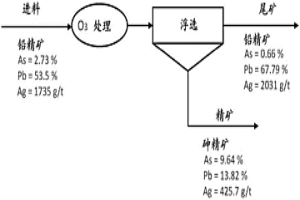 通过臭氧处理和反浮选从铅精矿中去除砷