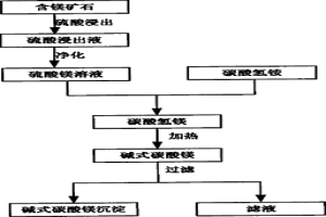 含镁矿石的浸出方法