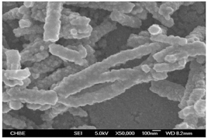 利用导电高分子纳米纤维从电子废弃物中回收金属的方法