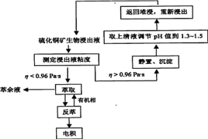 控制硫化铜矿生物浸出液萃取过程中第三相形成的新工艺