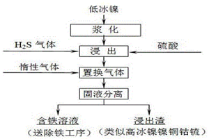 低冰镍中选择性浸出铁的方法