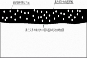 以高分子材料为骨架的粉末表面冶金强化的工艺方法