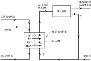 从硫酸体系电解液中选择性去除一价阴离子杂质的方法