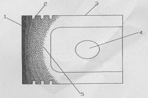 局部颗粒增强活塞及其制造方法