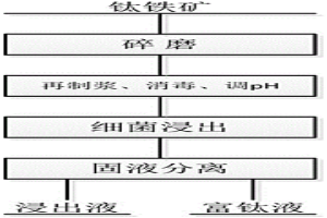 钛铁矿的微生物浸出方法