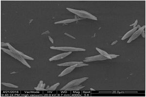 高效制备微米级纺锤状碳酸钙的方法
