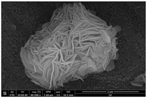 磁性花状磷酸钛吸附剂及其制备方法和应用