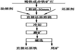 用大粒度褐铁和赤铁矿石生产直接还原铁的工艺方法