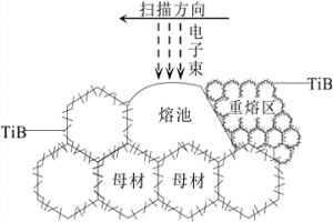 TiBw/TC<sub>4</sub>复合材料表面纳米重熔层及其制备方法