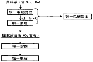 含铜水溶液中所含的钴的回收方法