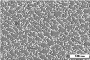 双相原位纳米增强钛基复合材料及其制备方法