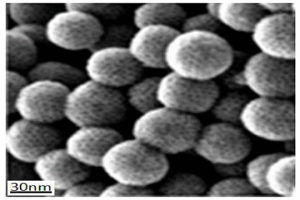 超细Ni-Ti-Y多元复合金属纳米粉的快速制备方法