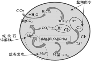 利用蛇纹石处理盐湖卤水的方法