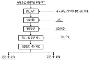 提高硫化铜钴精矿氧压浸出效率的方法