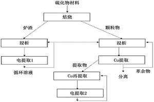 用于加工硫化铜和硫化镍材料的方法