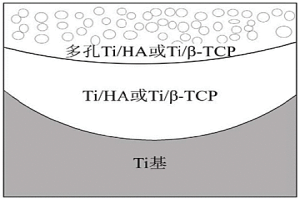 表面多孔钛基功能梯度材料及其制备方法