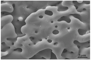 氯磷灰石多孔材料及其制备方法