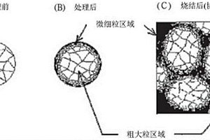 粉末状金属材料的表面处理方法