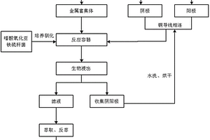 利用石墨烯修饰的碳布电极体系提高微生物浸出废旧线路板中金属铜的方法