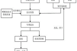 利用NCNTs修饰碳棒电极提高微生物浸出印刷线路板中铜效率的方法