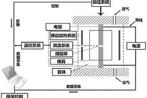 基于感应加热的多场耦合闪速烧结系统