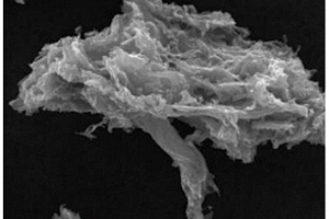 熔盐耦合气体活化剂一步法制备生物质活性炭的方法