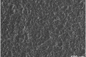 镁合金表面复合涂层的制备方法