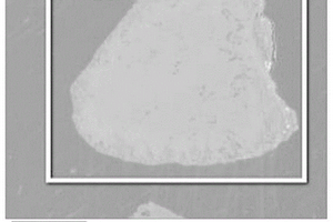 镁基复合粉末包裹层厚度的测定方法