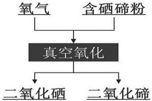 快速除去杂质硒制备高纯二氧化碲粉末的方法