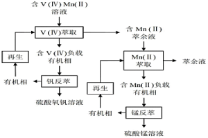 从含V（Ⅳ）和Mn（Ⅱ）的溶液中异步萃取分离钒锰的方法