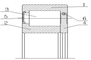 双面异式密封的满装圆柱滚子轴承