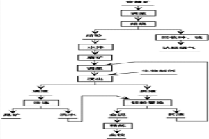 焙烧─磨矿─生物制剂提金工艺