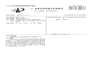 功能化离子液体修饰磁性纳米颗粒的方法