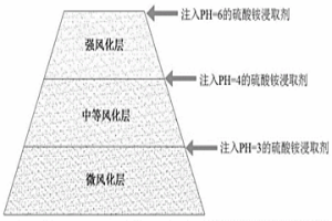 离子吸附型稀土的原地浸取方法