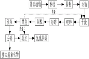 从重金属污染土壤中生物法回收重金属的工艺