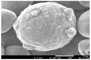 碳纳米管包覆金属基的复合粉体的制备方法
