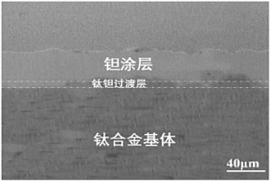 表面包覆钽涂层的医用多孔钛或钛合金材料的制备方法