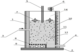 胶体粒子体系的定向凝固偏析装置及方法