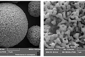 稀土掺杂碳化钨复合粉体及其制备方法以及耐磨涂层及其制备方法