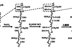 2,3-二氰基纳米纤维素及其制备方法与应用