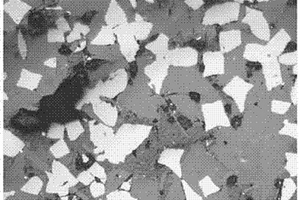 钛白粉及利用含钛高炉渣生产钛白粉的方法