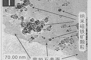 废水中Cr6+的处理方法及所用蒙脱石基纳米磁铁矿的制备方法