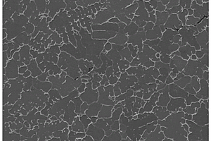 晶粒细化的铬钴镍多主元合金及其制备工艺