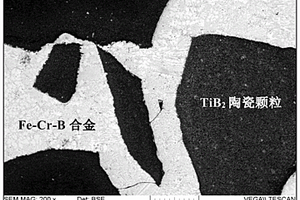 TiB<Sub>2</Sub>增强Fe-Cr-B合金基复合衬板的制备方法