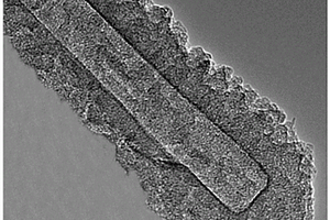 氮掺杂碳纳米管的制备方法