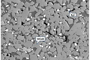 WCoB-B<sub>4</sub>C陶瓷基复合材料的制备方法