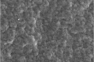 石墨烯改性银锡酸镧电接触复合材料的制备方法
